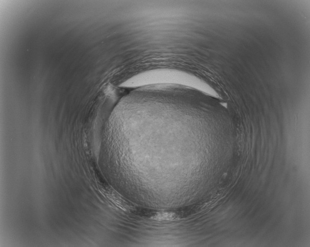 X0000058800609200510282105