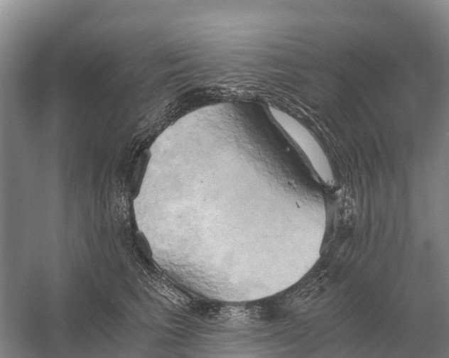 X0000058800613200510282105