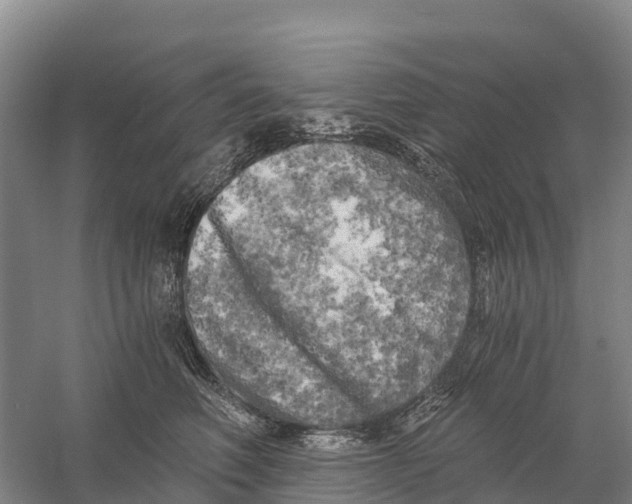 X0000058800614200510282105