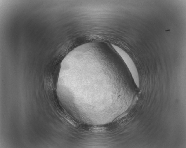 X0000058800617200510282105