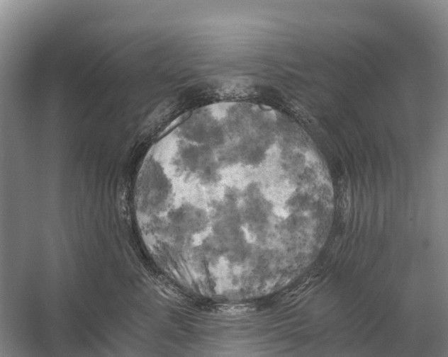 X0000058800619200510282105