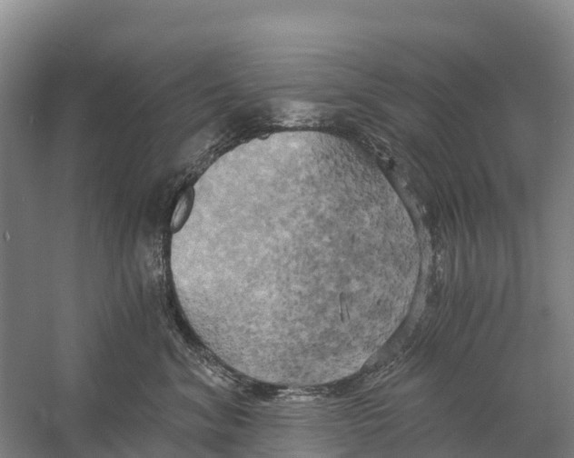 X0000058800620200510282105