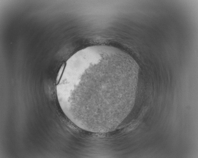 X0000058800624200510282105