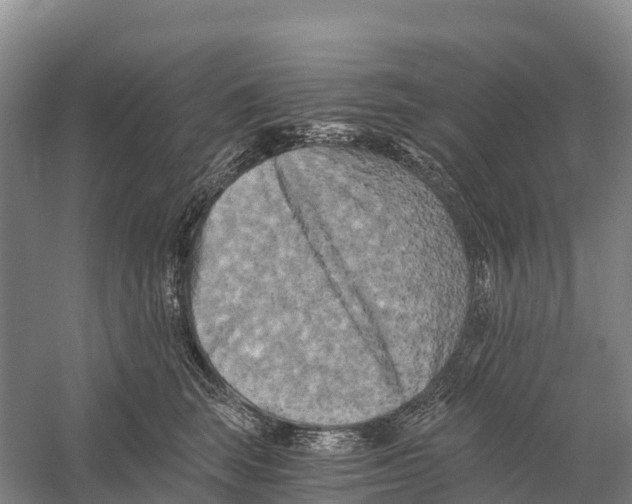 X0000058800663200510282105
