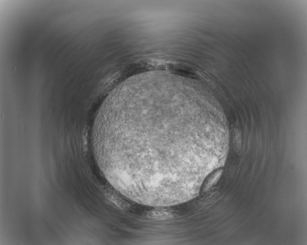X0000058800668200510282105