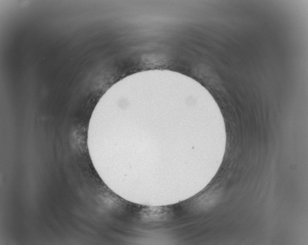 X0000058800672200510282105