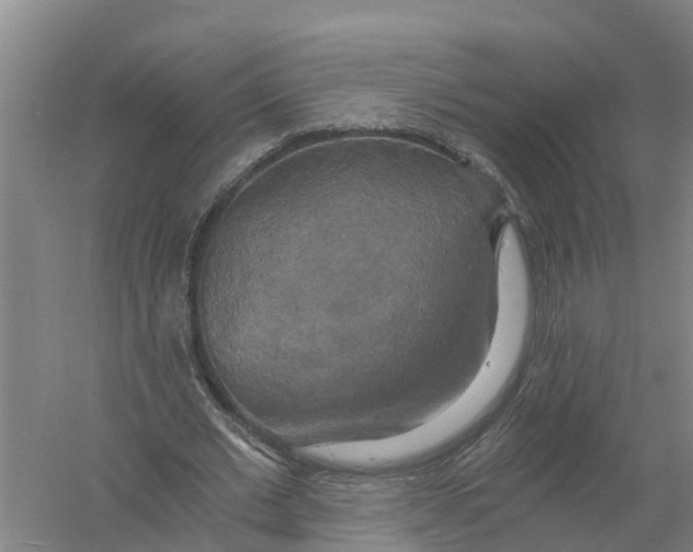 X0000058800677200510282104