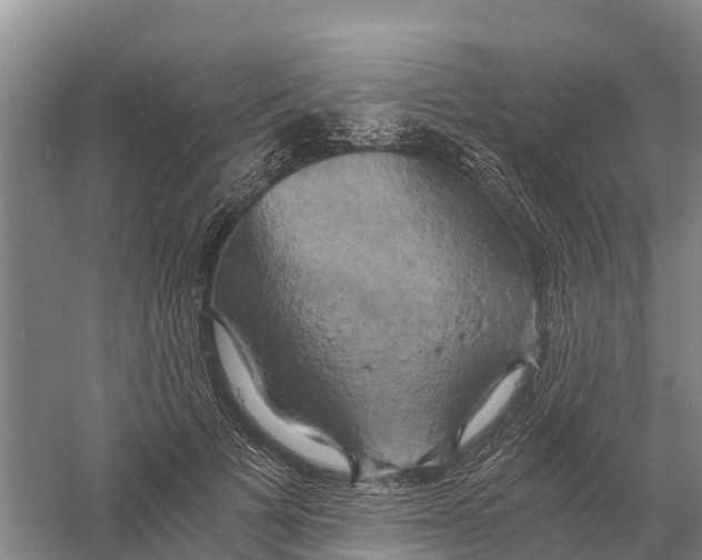 X0000058800697200510282104