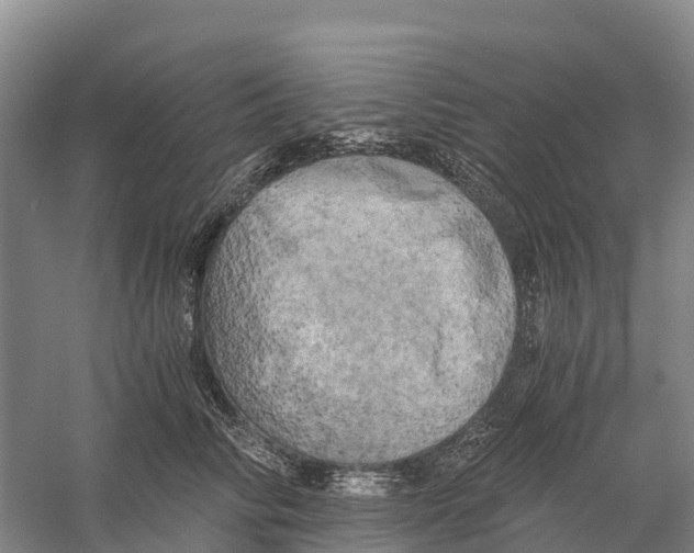 X0000058800710200510282104