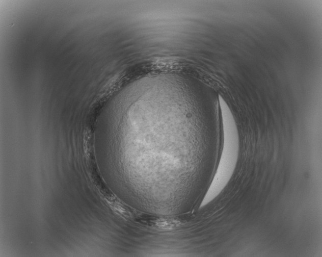 X0000058800712200510282104