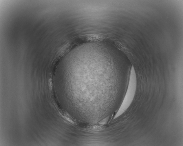 X0000058800716200510282103