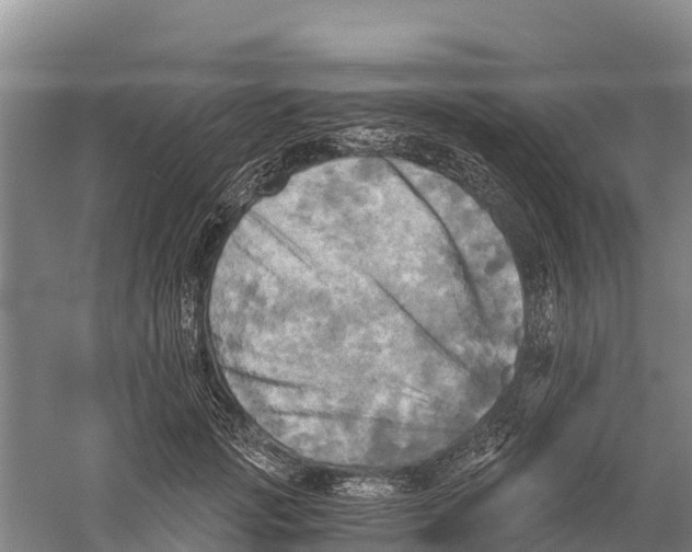 X0000058800749200510282103
