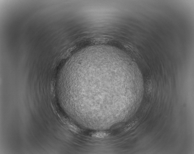 X0000058800759200510282103