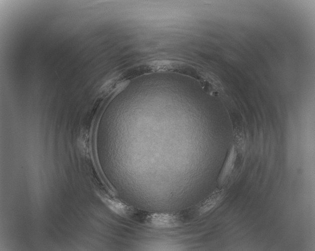 X0000058800766200510282103