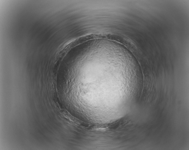 X0000058800773200510282102