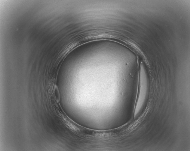 X0000058800793200510282102