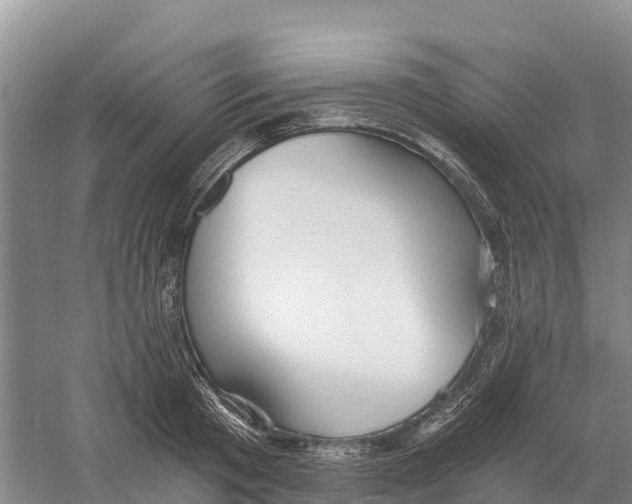 X0000058800801200510282102