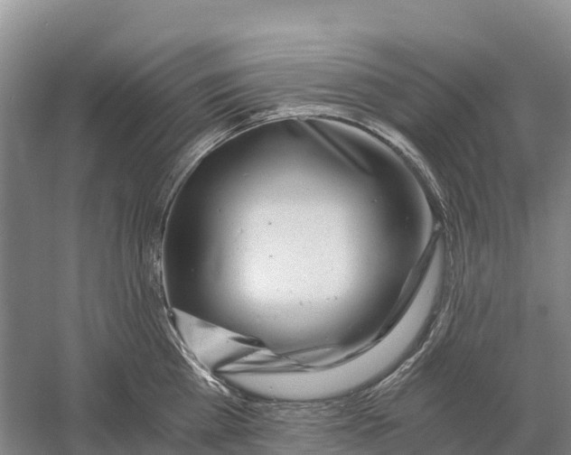 X0000058800809200510282102