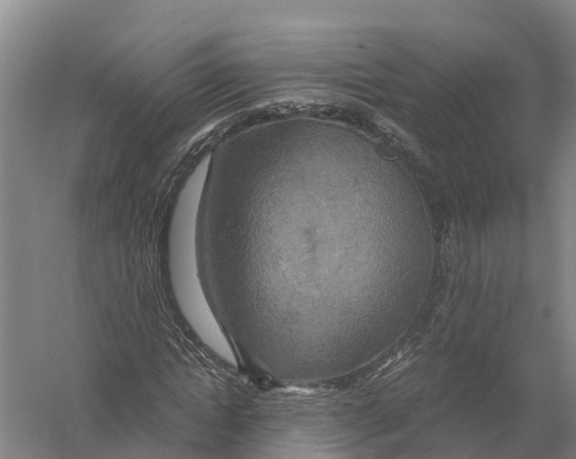 X0000058800822200510282101