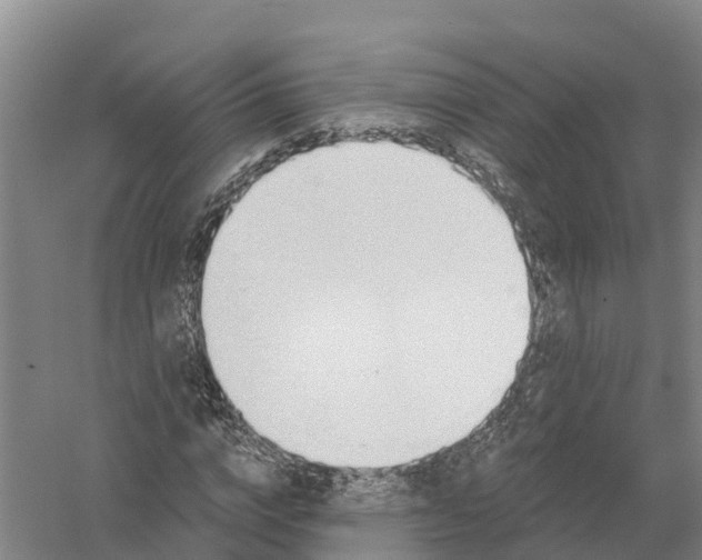 X0000058800824200510282101