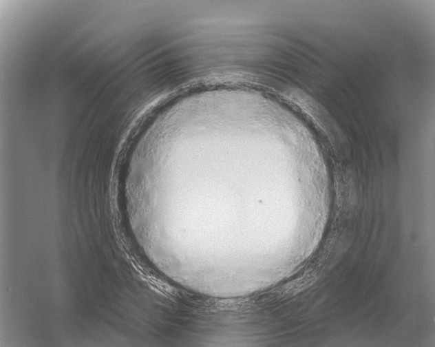 X0000058800832200510282101