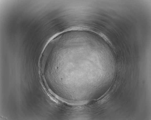 X0000058800854200510282102