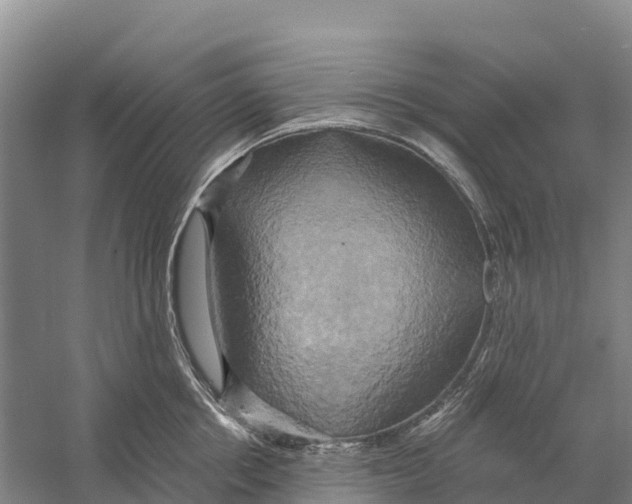 X0000058800858200510282102