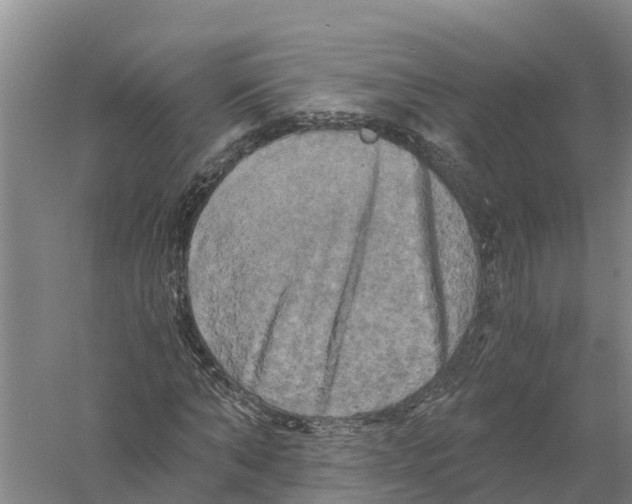 X0000058800870200510282101