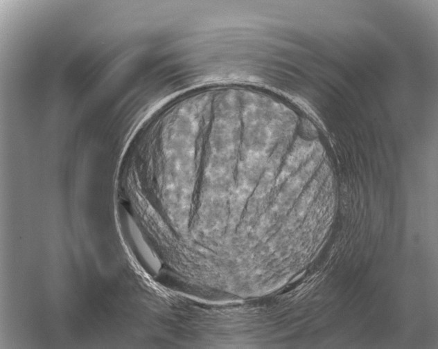 X0000058800895200510282100