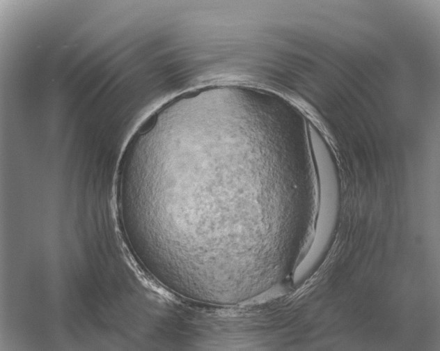 X0000058800904200510282100