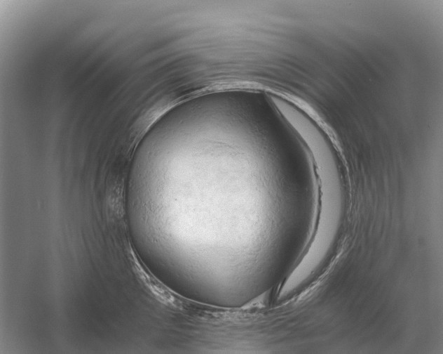 X0000058800905200510282100