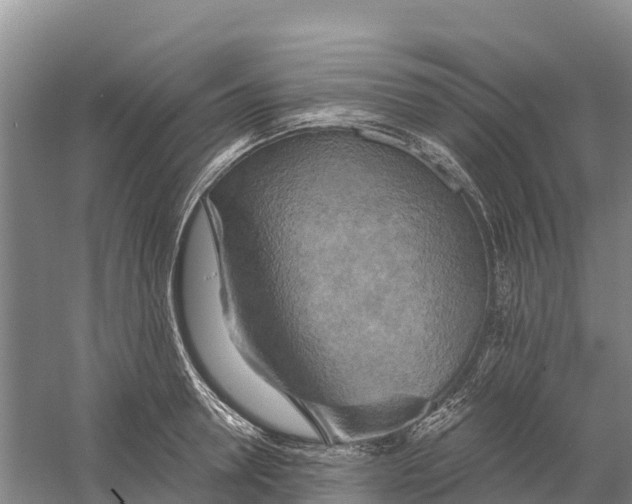 X0000058800946200510282100