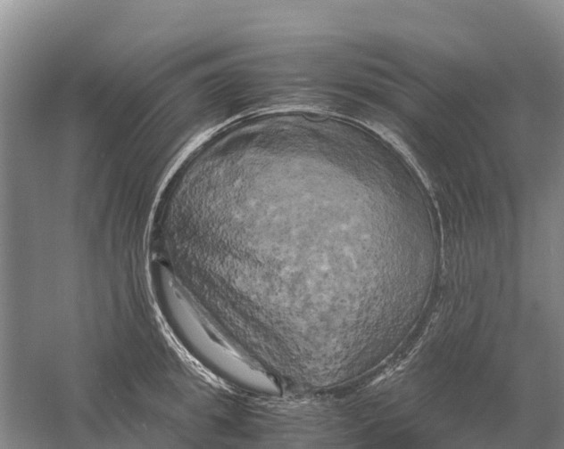 X0000058800949200510282100