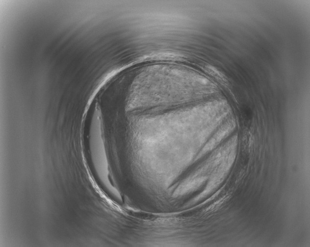 X0000058800989200510282059