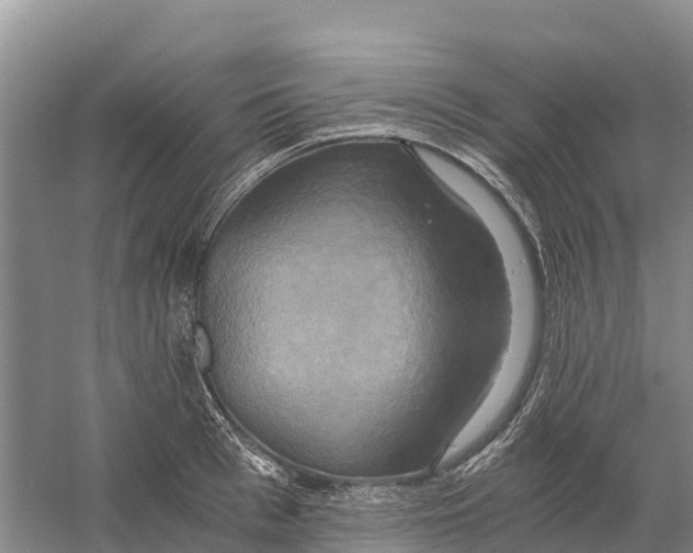 X0000058800993200510282059
