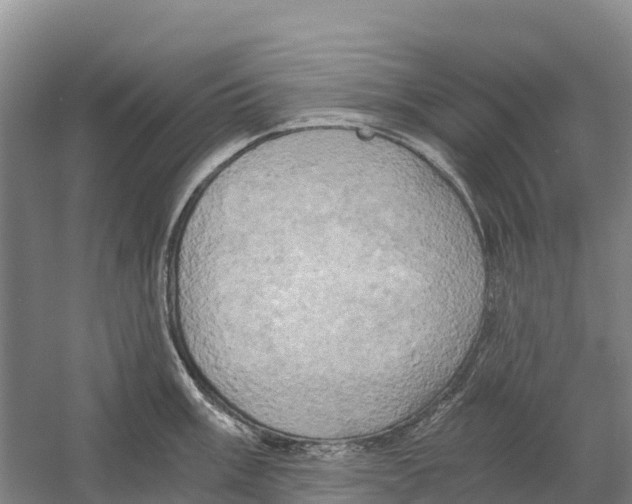 X0000058801003200510282059