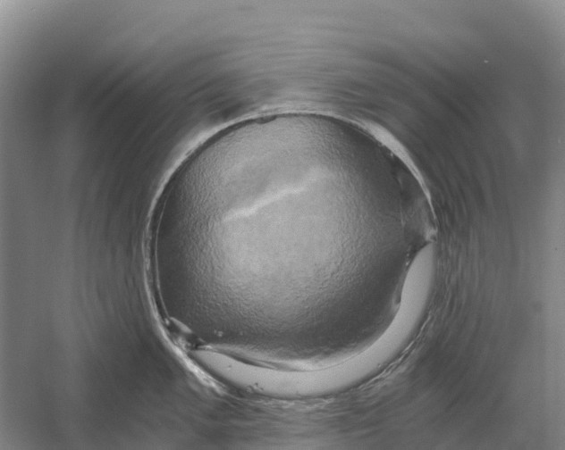 X0000058801005200510282059