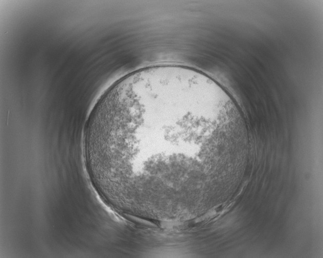 X0000058801006200510282058