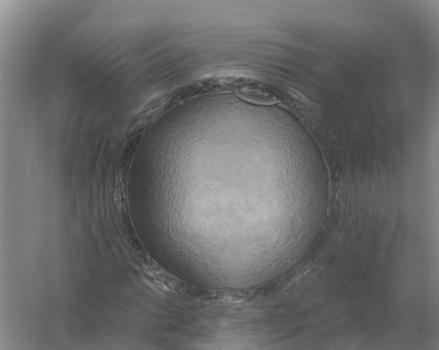 X0000058801014200510282058
