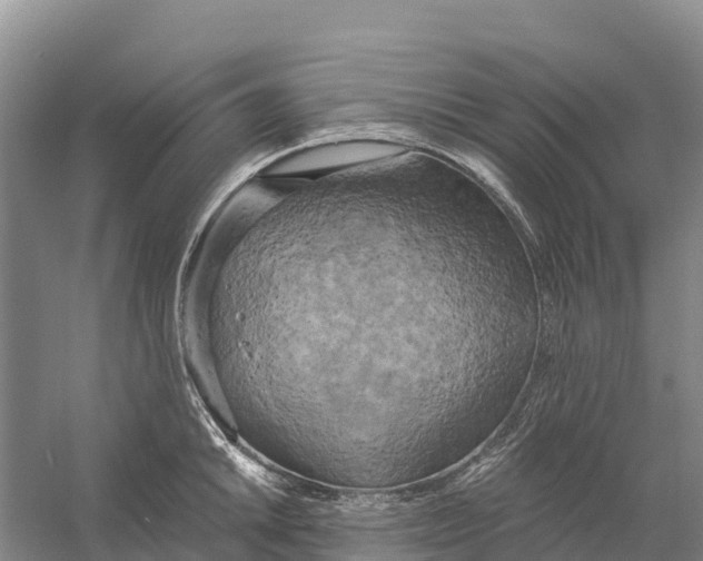 X0000058801046200510282058