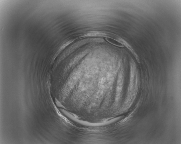 X0000058801049200510282058