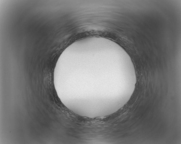 X0000058801061200510282058