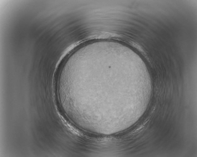 X0000058801122200510282056