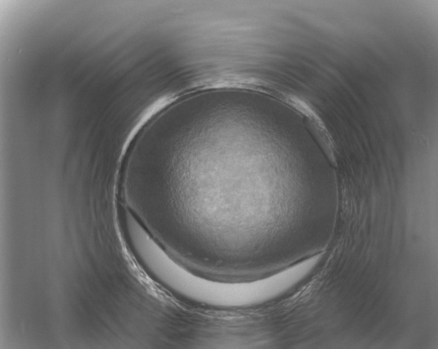 X0000058801138200510282057