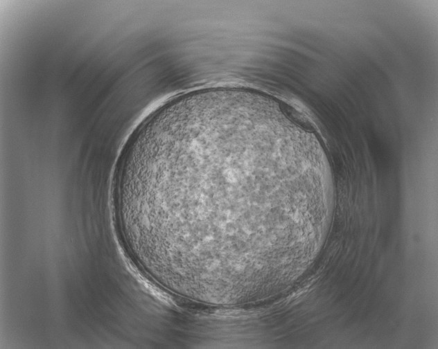 X0000058801142200510282057