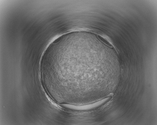 X0000058801143200510282057