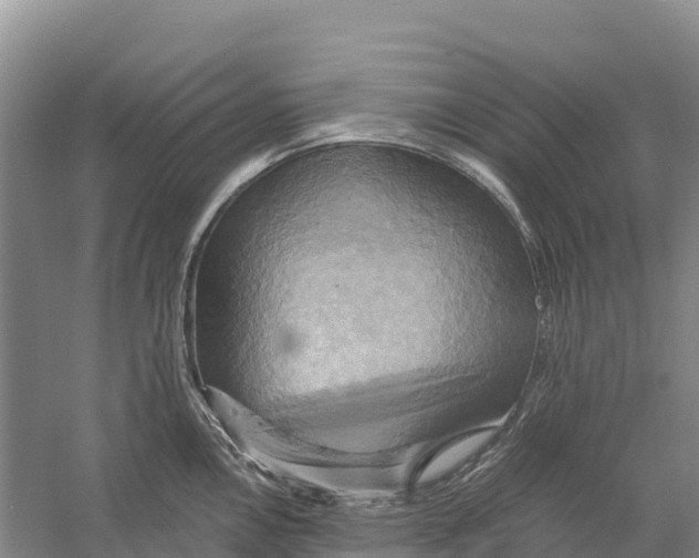 X0000058801146200510282057