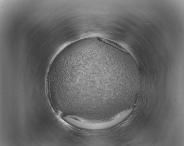 X0000058801151200510282057