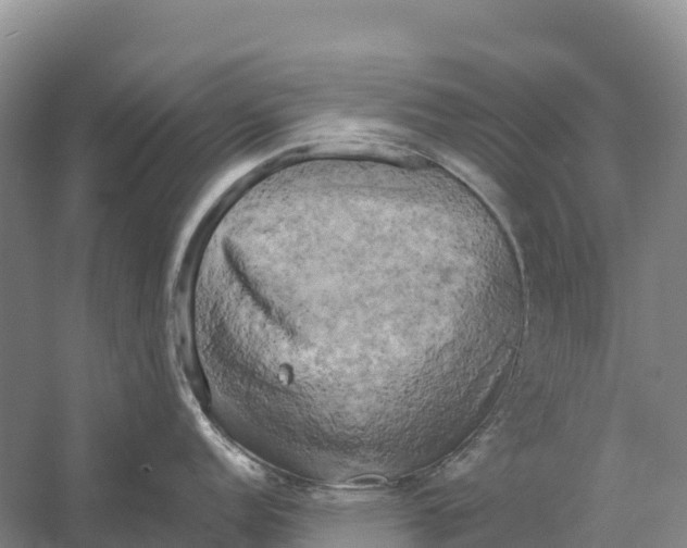 X0000058801152200510282057