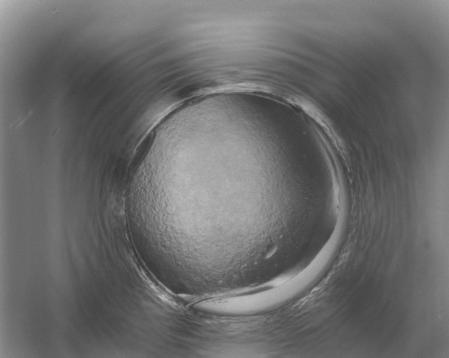 X0000058801193200510282055